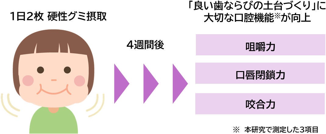 今回の研究の概要