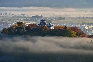 都道府県別デジタル度、第2位は東京都 - 第1位は？NRI調べ