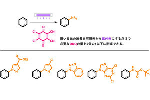 農工大が極めて安定なベンゼンを光で有用物質へと変換する技術を開発