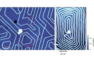 京大などが1nmの半導体量子細線を作製　技術開発の鍵は熱帯魚の縞模様