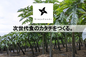 Sydecasと龍谷大学、蒟蒻由来食材「NinjaPaste」に関する共同研究を開始