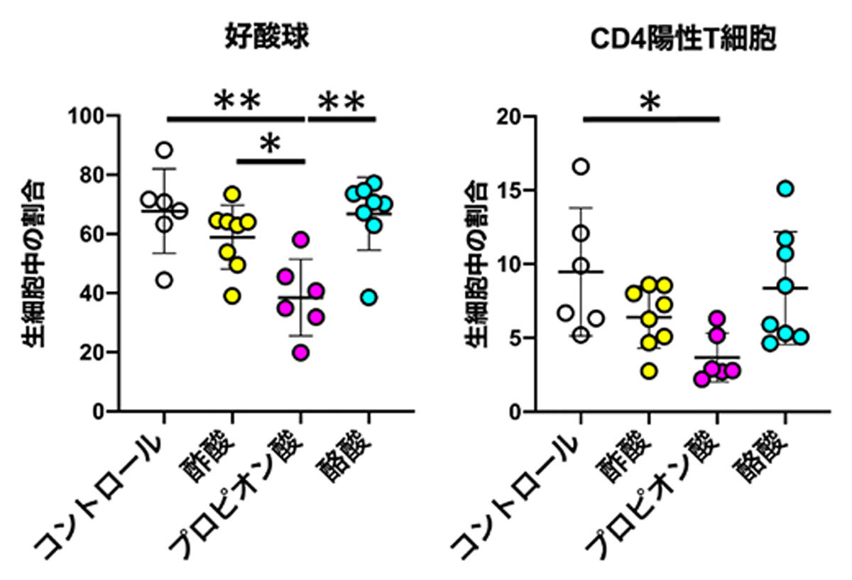 授乳期プロピオン酸投与によるアレルギー性気道炎症の抑制