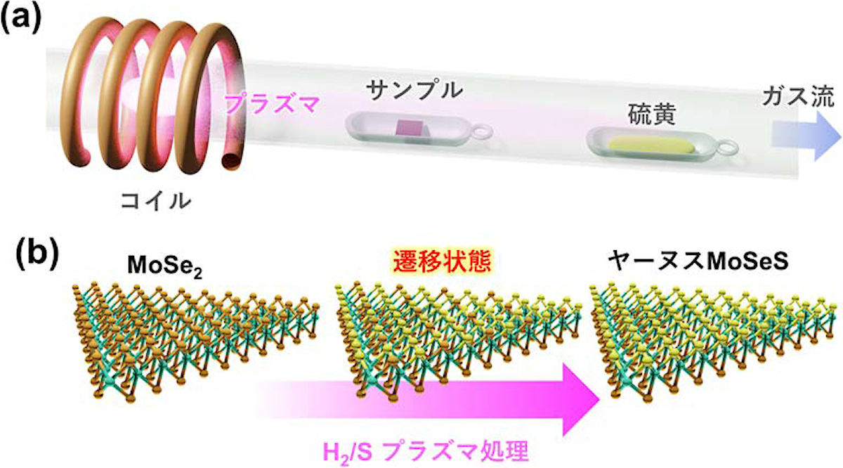 硫黄を含むプラズマ処理装置の模式図