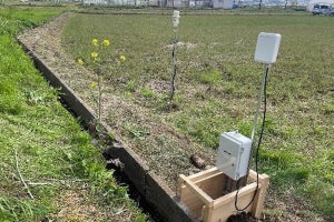 NTT東日本、水田水位センシングで点在する圃場を遠隔で監視する実証開始