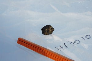 極地研など、南極隕石から木星の形成と移動に関する同位体的証拠を初確認