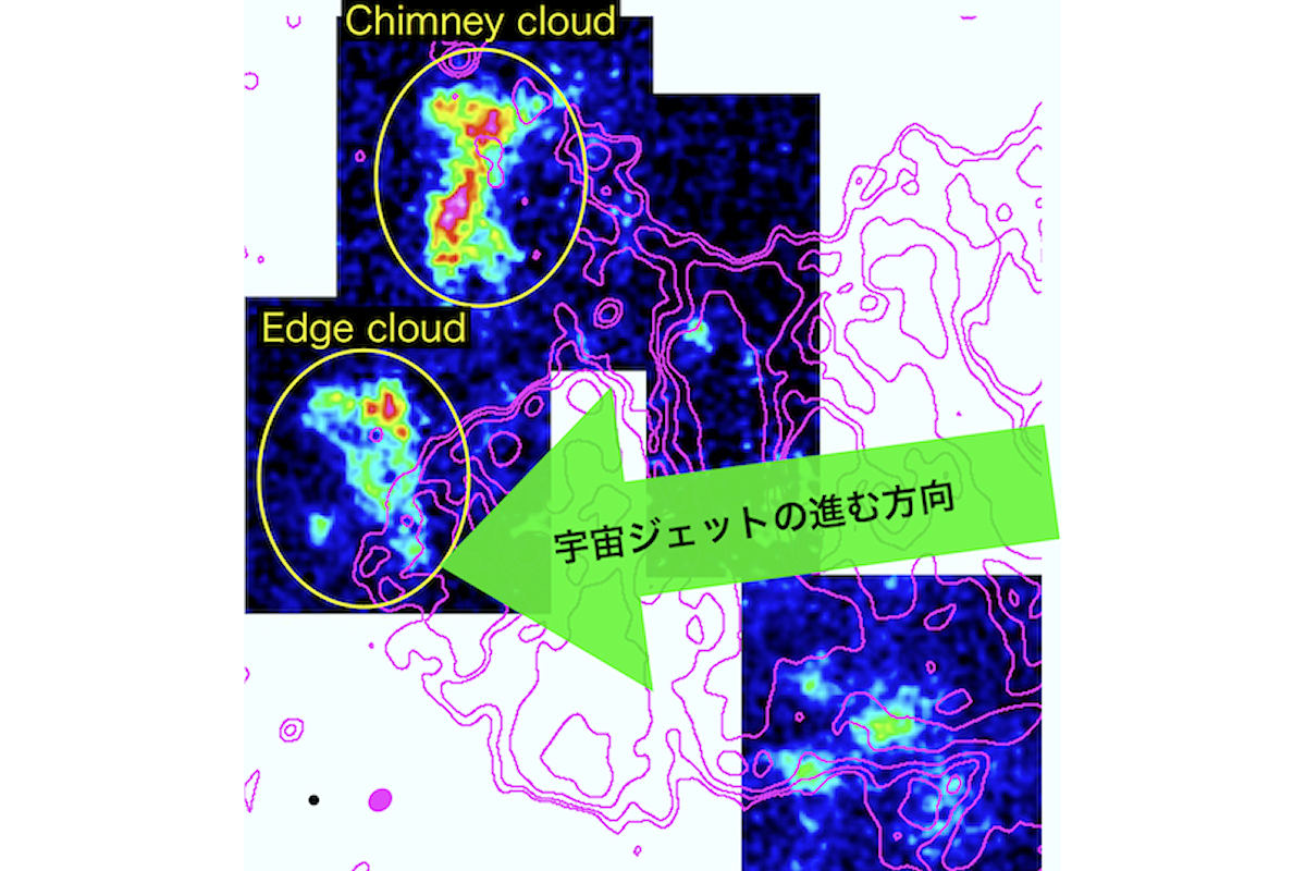 W50東側イヤーの先端に同定された分子雲から放射される電波強度の分布。マゼンタのコントアは東側イヤーの構造を示している。