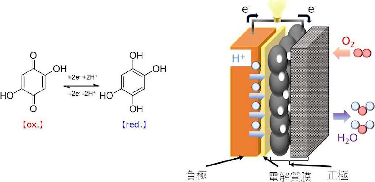 今回開発された全固体空気二次電池の概念図。負極活物質にジヒドロキシベンゾキノンまたはその高分子体、電解質膜にプロトン伝導性高分子ナフィオンを用いることで、薄型で安全な全固体空気二次電池を構築できる。