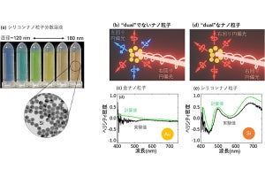 神戸大、円偏光状態の近接場を形成できる「球状ナノアンテナ」を開発