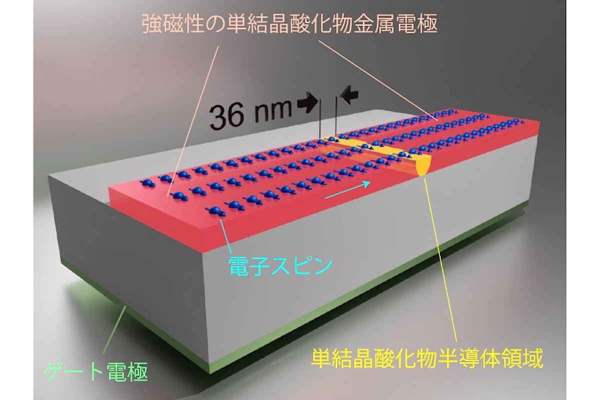 今回作製された単結晶酸化物スピントランジスタ素子におけるスピンの流れの模式図。強磁性の酸化物金属電極と半導体領域がすべて格子整合した単結晶の酸化物で構成されており、スピンの散乱や反射を大幅に低減することに成功したという。