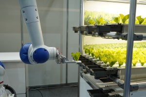 安川電機が栽培工程を自動化した植物工場システムなどを展示 - FOOMA JAPAN 2023