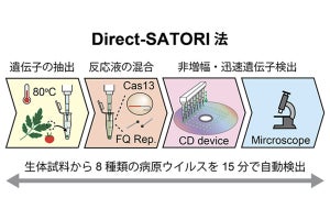理研、15分で生体試料からウイルスを検出する「Direct-SATORI法」を開発