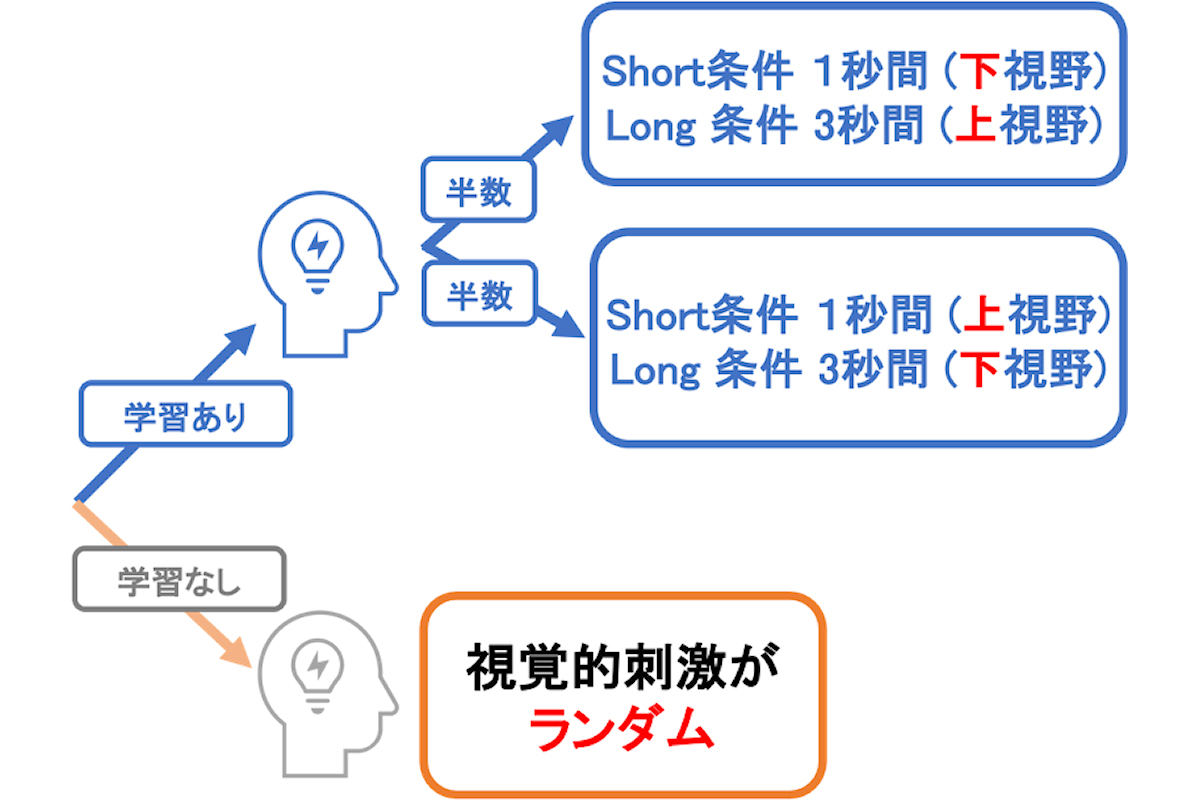 実験参加者のトレーニング試行によるグループ分け