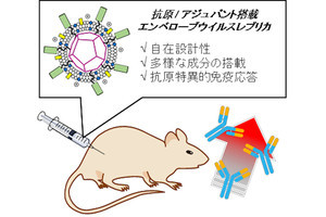 阪大など、がんワクチンの候補となる完全化学合成ウイルスレプリカを調製