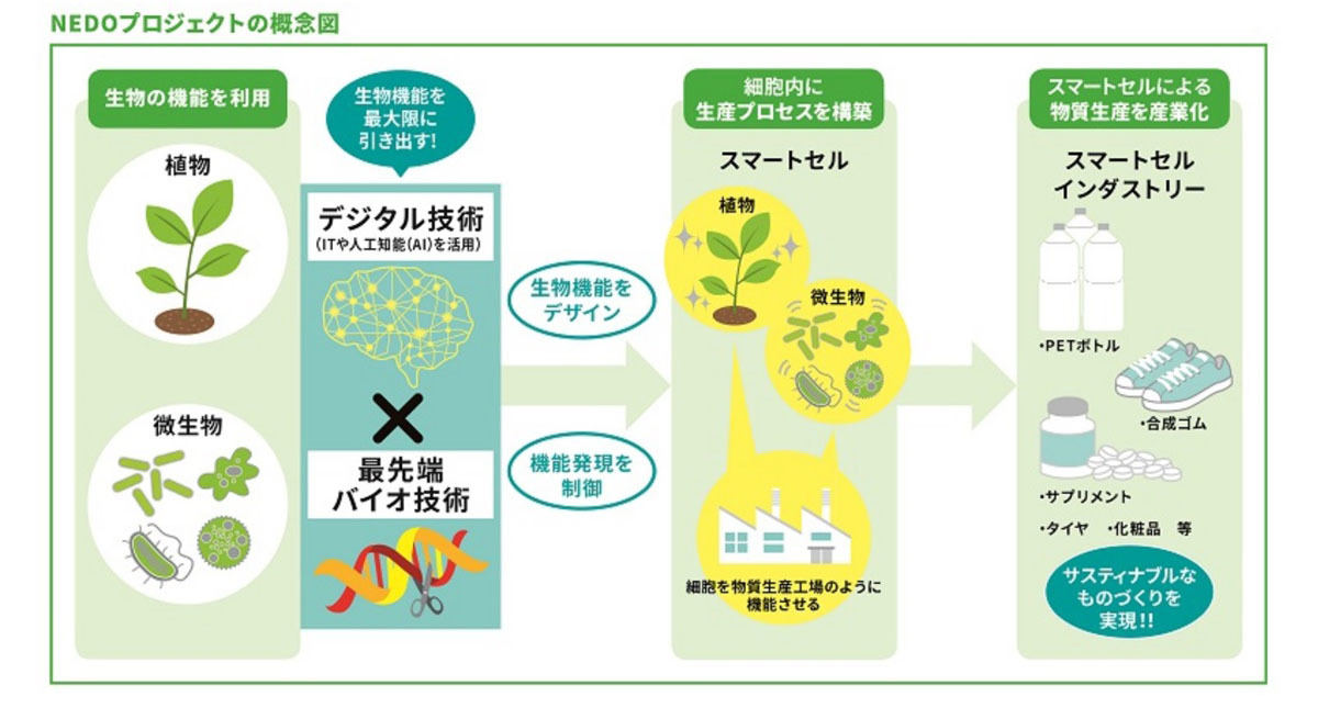 「スマートセルプロジェクト」の概念図