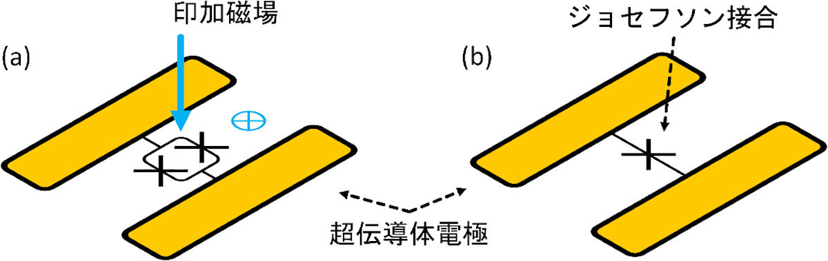 (a)周波数可変トランズモン量子ビット。中央のループ構造に磁場を印加することで量子ビットの共鳴周波数を動的に変化できるが、ノイズが大きいという。(b)周波数固定トランズモン量子ビット。1つのジョセフソン接合と超伝導電極から構成され、最もシンプルな構造を持ち、ノイズの小さな超伝導量子ビット。