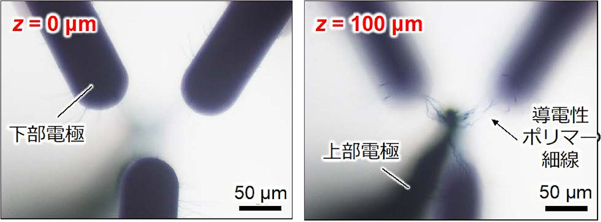 実際に実現された導電性ポリマー立体配線の光学顕微鏡像