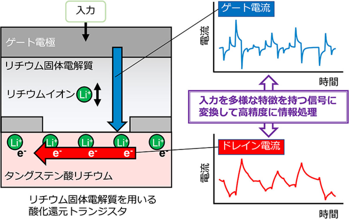 今回開発された酸化還元トランジスタの模式図。ドレイン電流とゲート電流の非線形応答を組み合わせることで、情報処理の性能向上に成功した。
