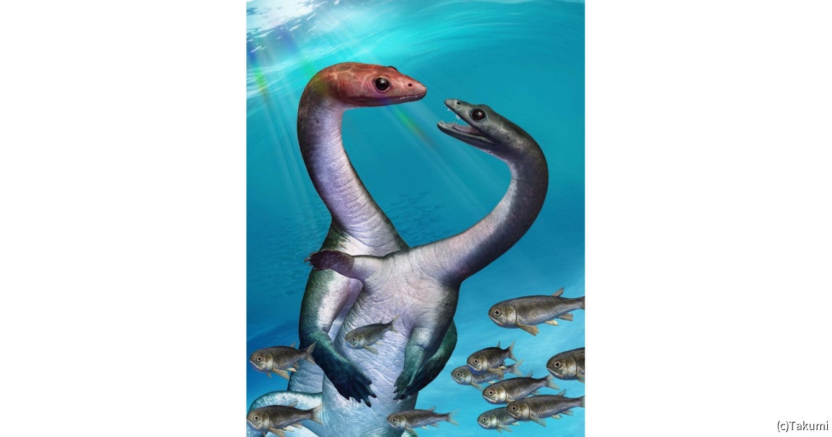 化石爬虫類「ケイチョウサウルス」の“思春期”とは？ 都市大が特定