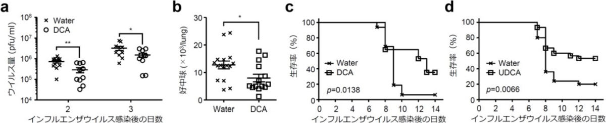 DCAによるインフルエンザ重症化抑制効果