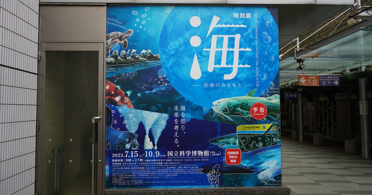 上野 国立科学館博物館 特別展 海 生命のみなもと 海展 観覧券 2枚