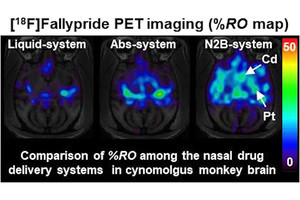 浜松医科大、脳に移行しにくい薬物の脳内移行量を評価する新手法を確立