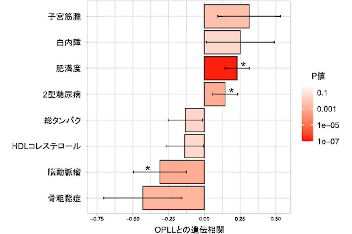 OPLLと他形質の遺伝相関