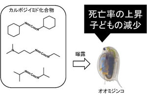 宇都宮大、生分解性プラスチックの添加物がミジンコに毒性を示すことを発見