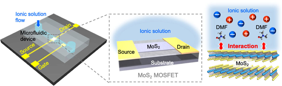 2次元半導体MoS2の電界効果トランジスタを内部に有するマイクロ流体デバイスの模式図と、DMF分子とMoS2表面の相互作用の模式図。