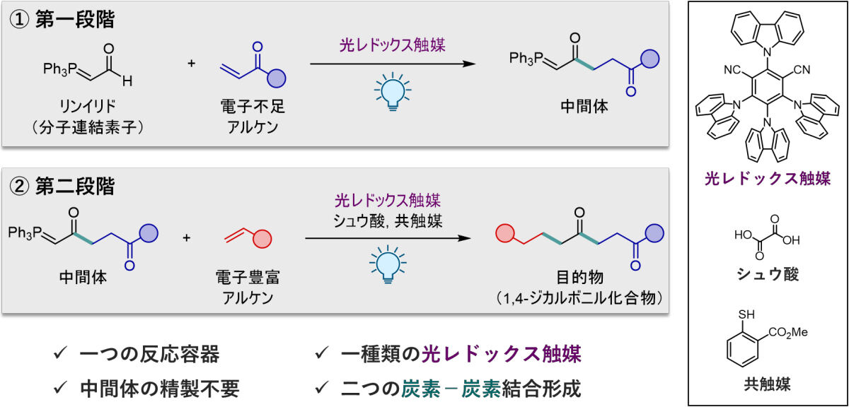 今回開発された連続反応。