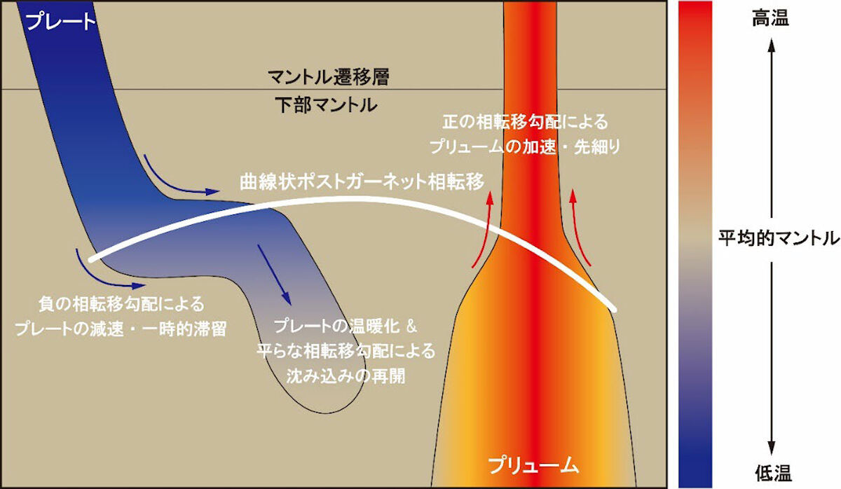 マントル中部でのプレート・プリュームの特異な挙動のポストガーネット転移による解釈。