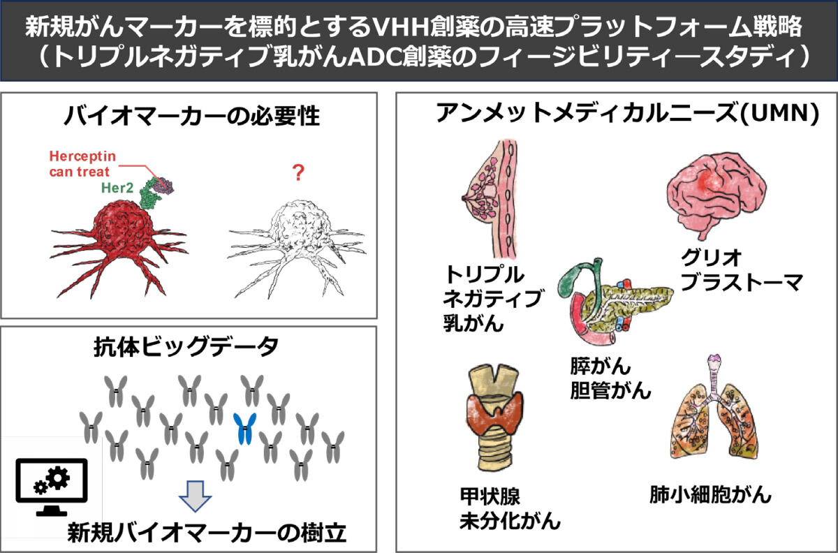 バイオマーカーをAIで発掘し難治がん治療薬を高速に提案する共同プロジェクト