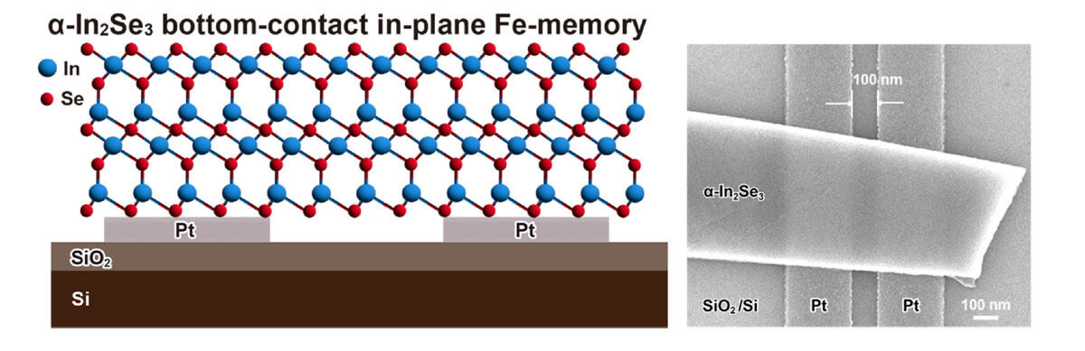 ボトムコンタクト型2次元強誘電半導体α-In2Se3メモリの断面構造とメモリ素子のSEM像