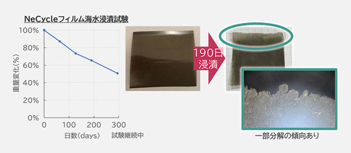 NeCycleフィルムの海水浸漬試験の結果