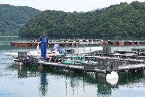 KDDI、京都府舞鶴市らが「丹後とり貝」安定供給に向けたスマート漁業事業の実証