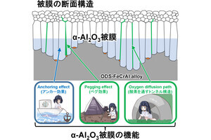 東工大など、腐食環境下で構造材を保護できる「α-Al2O3被膜」の謎を解明