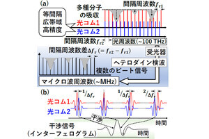 東邦大など、全ファイバ型の機構共有型デュアルコムファイバレーザーを開発