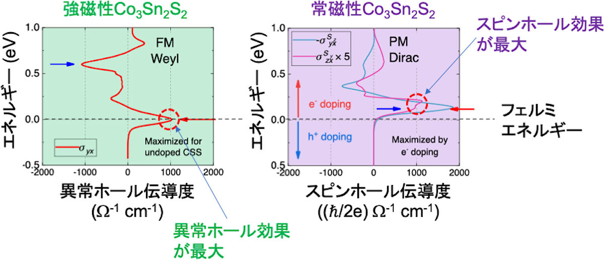 (左)強磁性のCo3Sn2S2における異常ホール伝導度。(右)常磁性の同化合物におけるスピンホール伝導度の理論計算結果。最大となるエネルギーが各々異なっている。