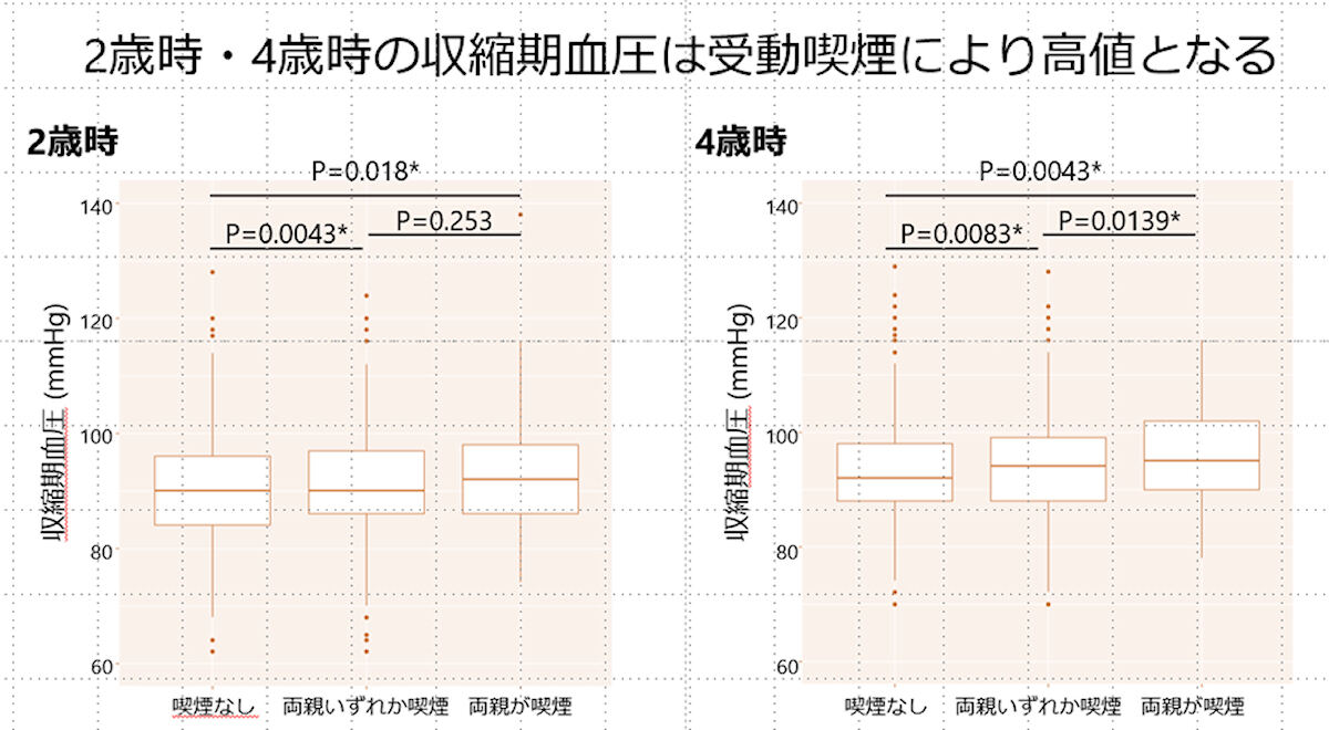 2、4歳時の収縮期血圧と保護者の喫煙との関連。両親喫煙なし、両親いずれかが喫煙あり、両親が喫煙、の3グループで解析。2、4歳の収縮期血圧は、両親が喫煙および一方が喫煙のグループでは、両親が喫煙していないグループに比べ、有意に高値だった。