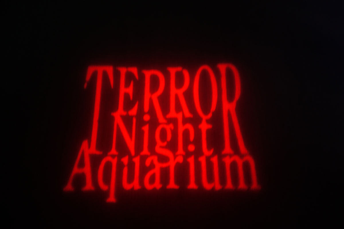 TERROR Night Aquarium