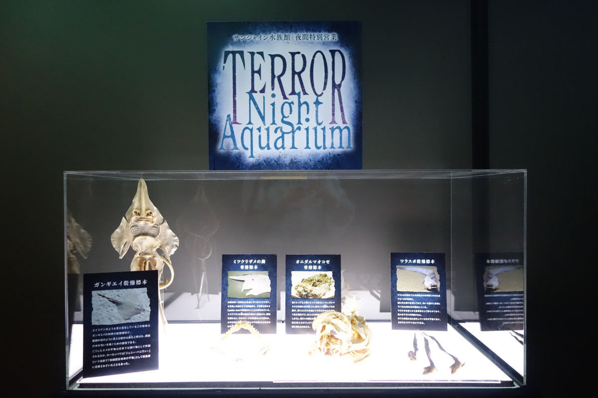 TERROR Night Aquarium