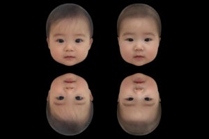 赤ちゃんの顔のかわいさは逆さに見ても変わらない　四天王寺大などが発見