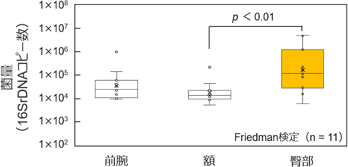 乳幼児の各部位の皮膚上の菌量比較。