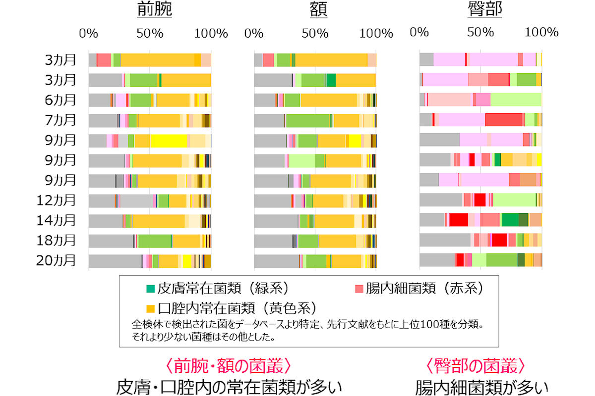 各乳幼児の前腕・額・臀部における皮膚・口腔内常在菌や腸内細菌の相対存在比率(％)。