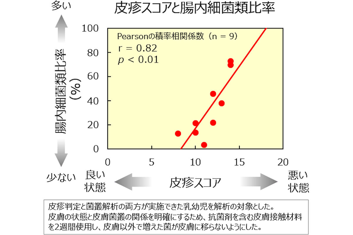 肌の皮疹状態と臀部の菌叢との関係。