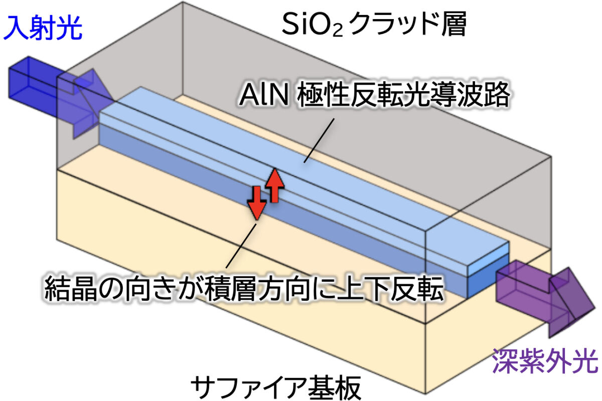 AlN極性反転構造を用いた波長変換デバイス。