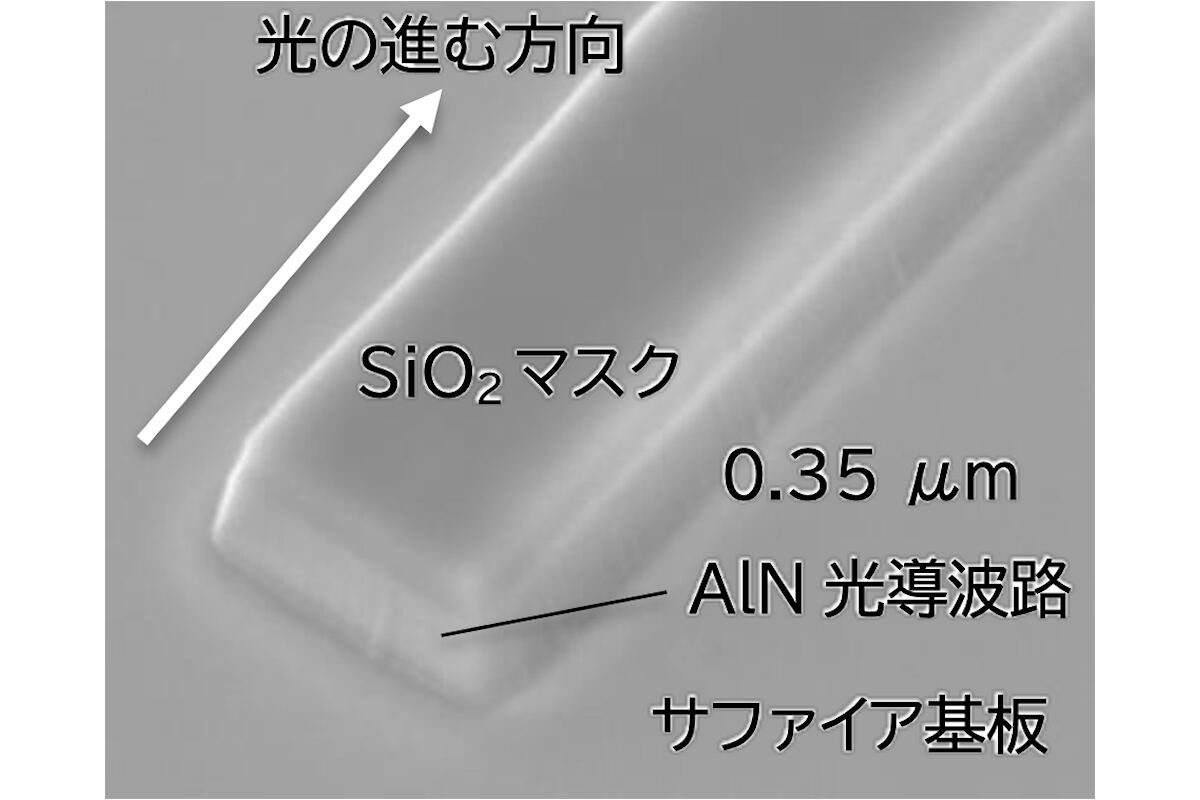 作製されたAlN極性反転光導波路のSEM像。