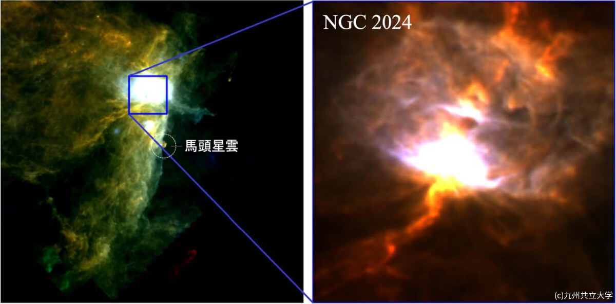 ハーシェル宇宙赤外線望遠鏡で観測されたオリオン座の星形成領域「オリオン座B分子雲南部」と、今回の観測ターゲットであるNGC 2024領域の拡大図。70μm(青)、160μm(緑)、250μm(赤)の3色合成図。