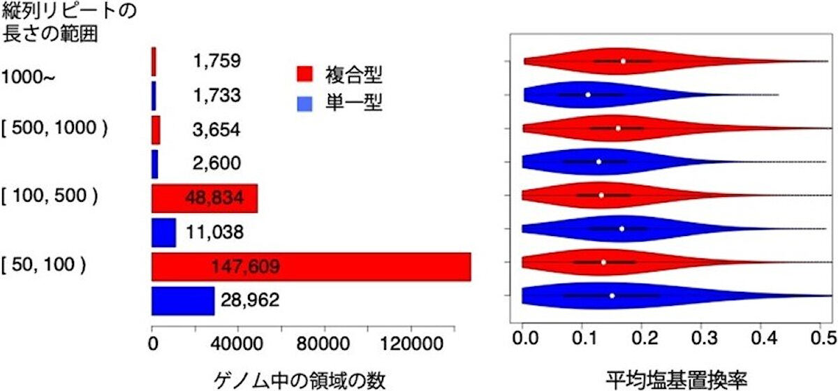 複合型と単一型で分類した縦列反復配列長の分布。