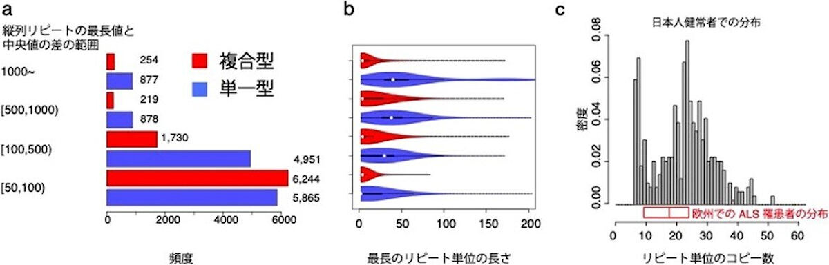 伸長が顕著な個人が存在する縦列反復配列の分析。