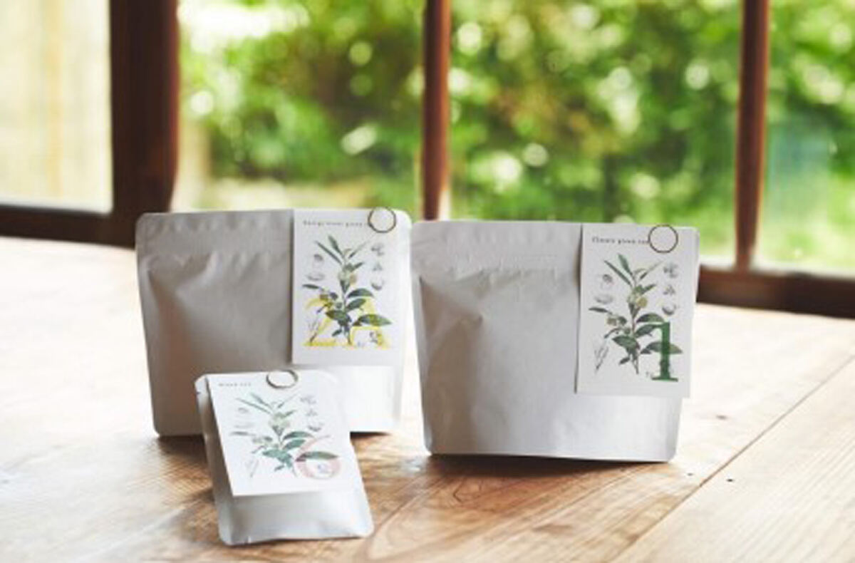 EN TEAのティーバッグ製品外観
